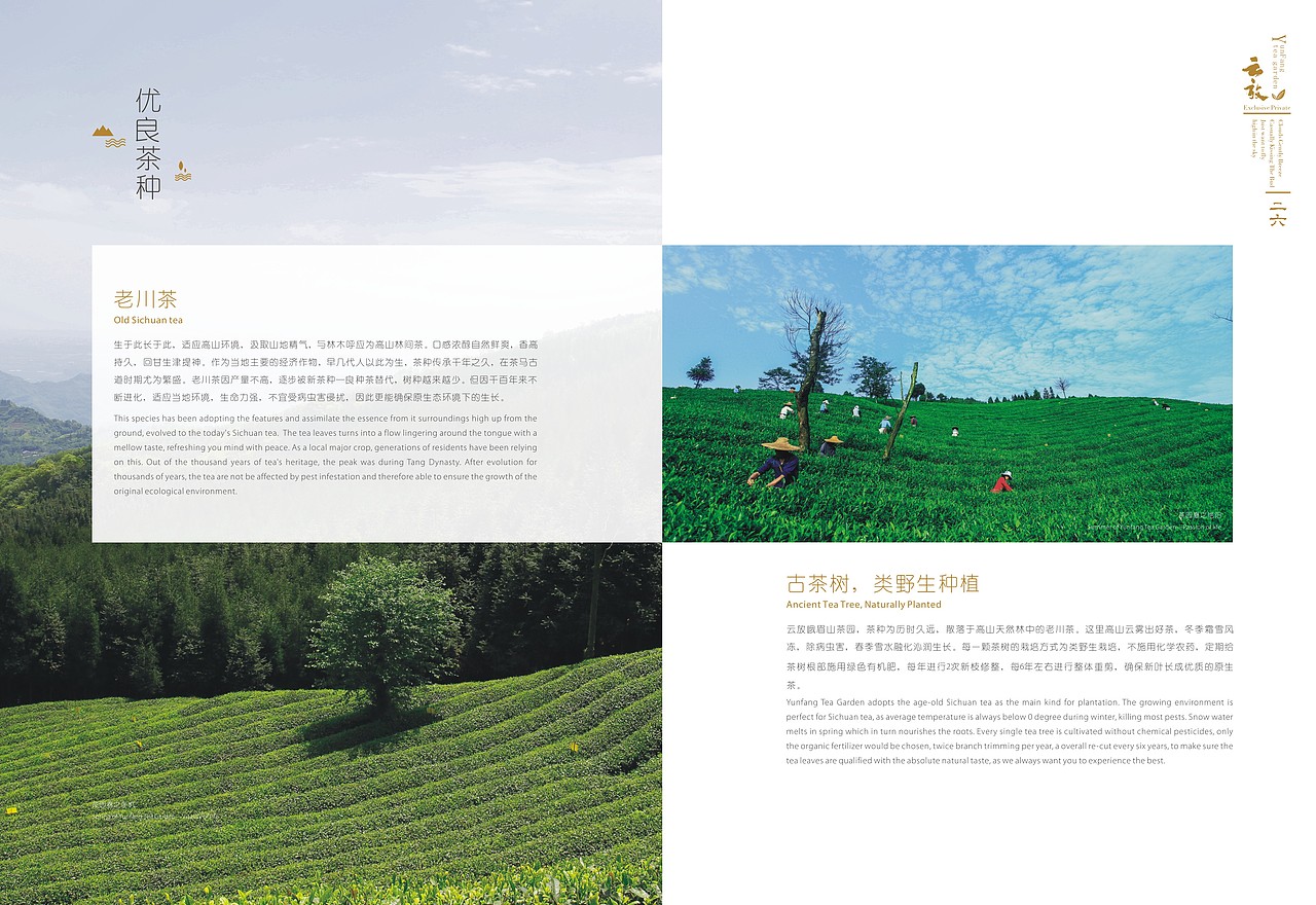 画册（图ZODA0NDIzNDQ=） - 书籍/画册 - 站酷设计师木na原创素材 - 站酷ZCOOL