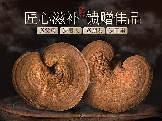 灵芝详情页