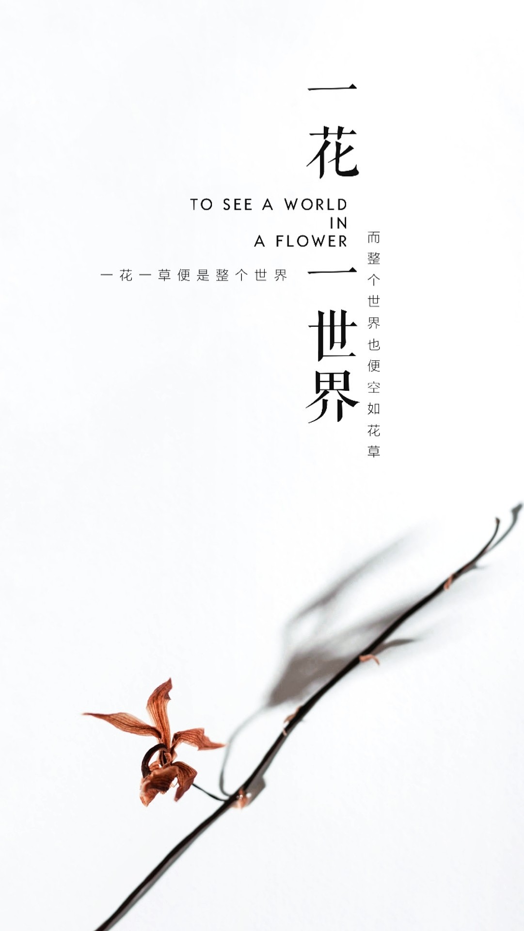 枯葉（圖ZMjA0OTMxMzY4） - 修圖/后期 - 站酷設(shè)計師佛系Tang原創(chuàng)素材 - 站酷ZCOOL