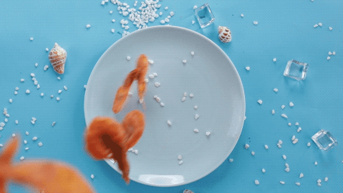 美食视频｜三只松鼠大白虾（图ZMTU0MDYyNjUy） - 产品摄影 - 站酷设计师小明同学Joie原创素材 - 站酷ZCOOL