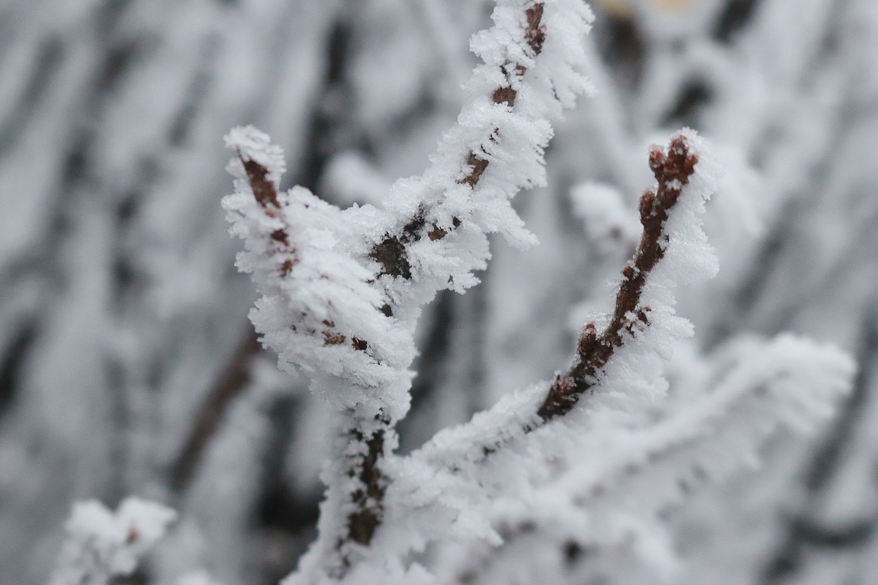摄影 峨眉山（图ZMTY4MDM4MjMy） - 风光摄影 - 站酷设计师香菜小龍包原创素材 - 站酷ZCOOL