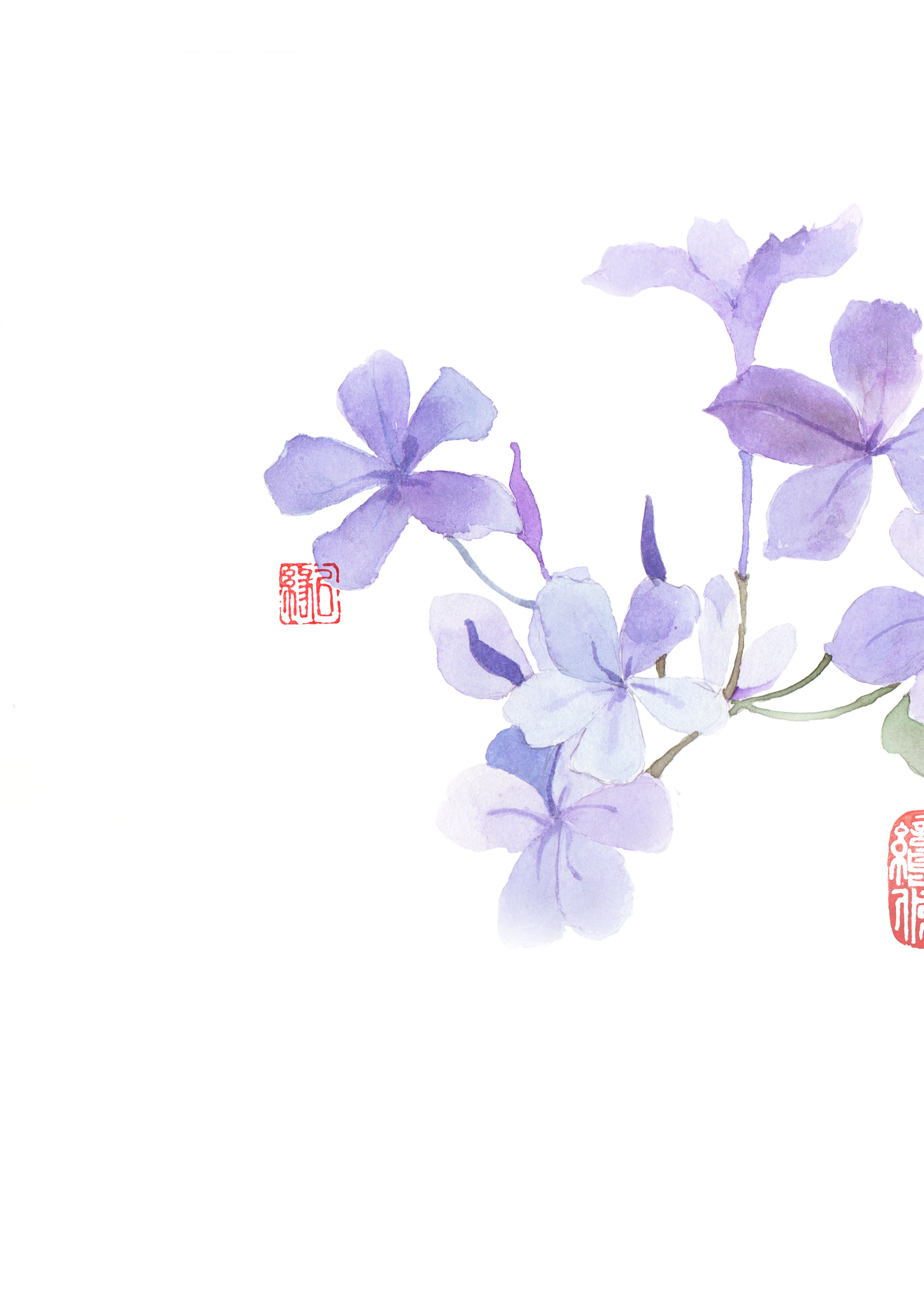 阿呆Pauline的個人主頁（封面預(yù)覽） - 主頁封面設(shè)置 - 站酷設(shè)計師阿呆Pauline原創(chuàng)素材 - 站酷ZCOOL