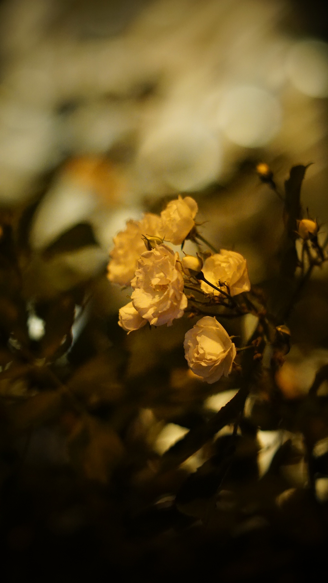 压马路随拍【1】（图ZNzgwNDgzMTY=） - 环境/建筑摄影 - 站酷设计师match3x原创素材 - 站酷ZCOOL