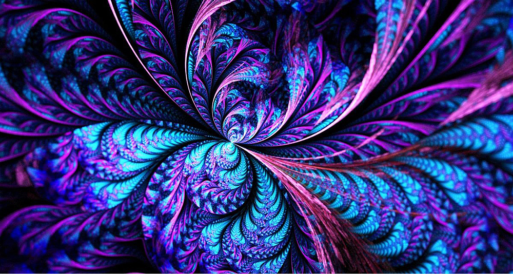分形(Fractal)三十一辑:黑暗丛林 & 浮游生物