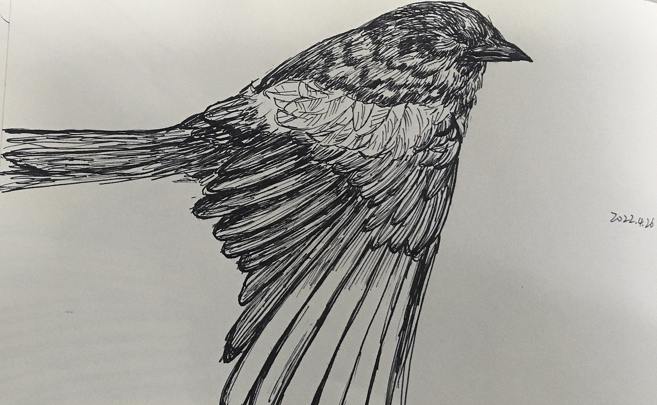 2022年4月25～5月1日