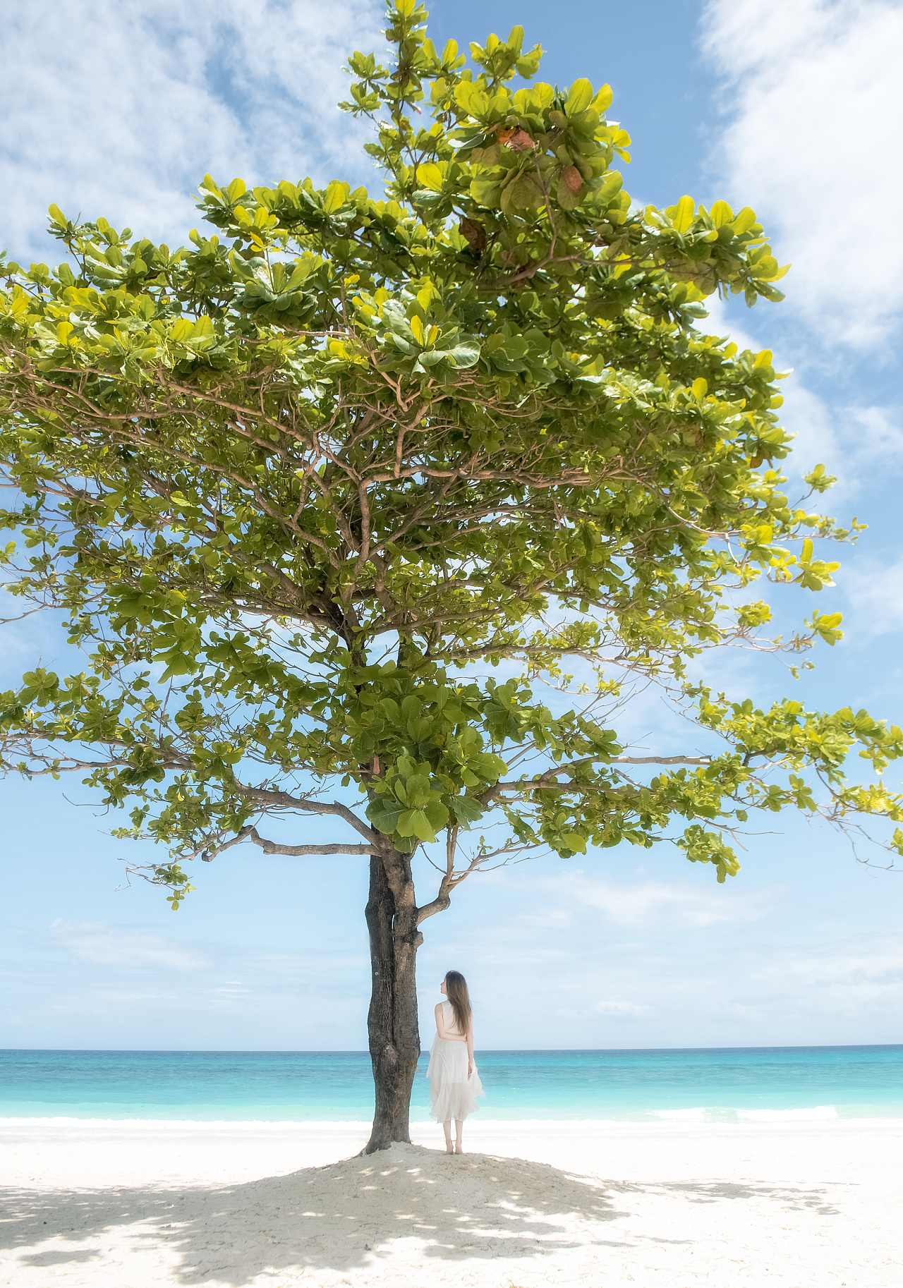 一人,一树,一海