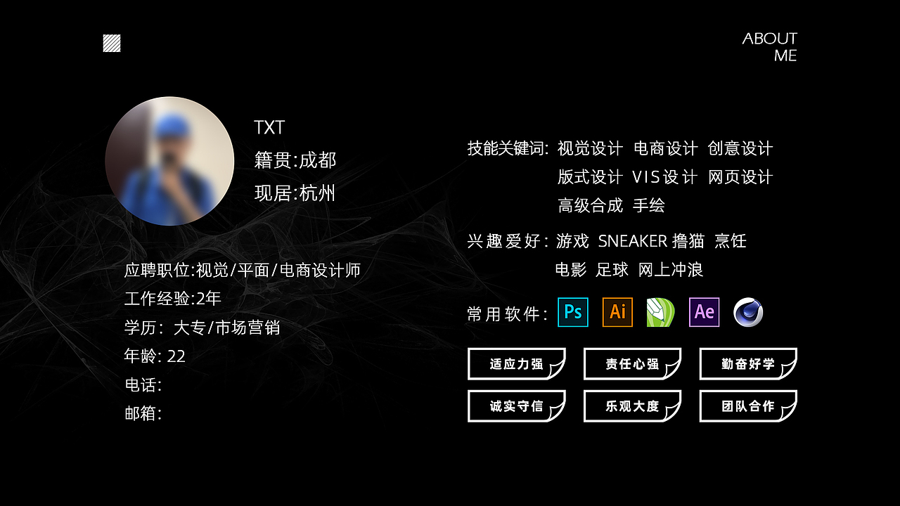 2019-个人设计 平面作品集（图ZMTg5NDk2NTM2） - 其他平面 - 站酷设计师txt300原创素材 - 站酷ZCOOL