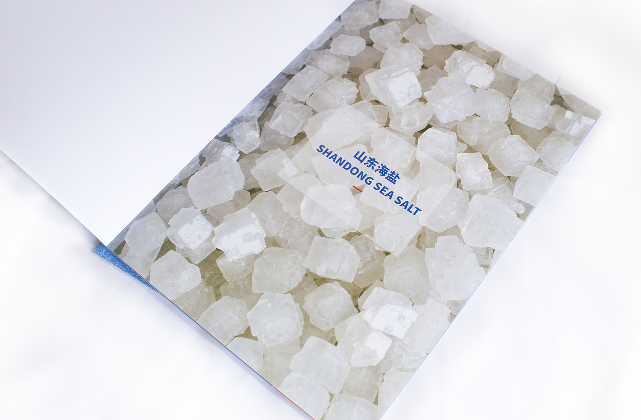 企业画册（图ZMTAwMjY0NDQ4） - 书籍/画册 - 站酷设计师地平线包装设计原创素材 - 站酷ZCOOL