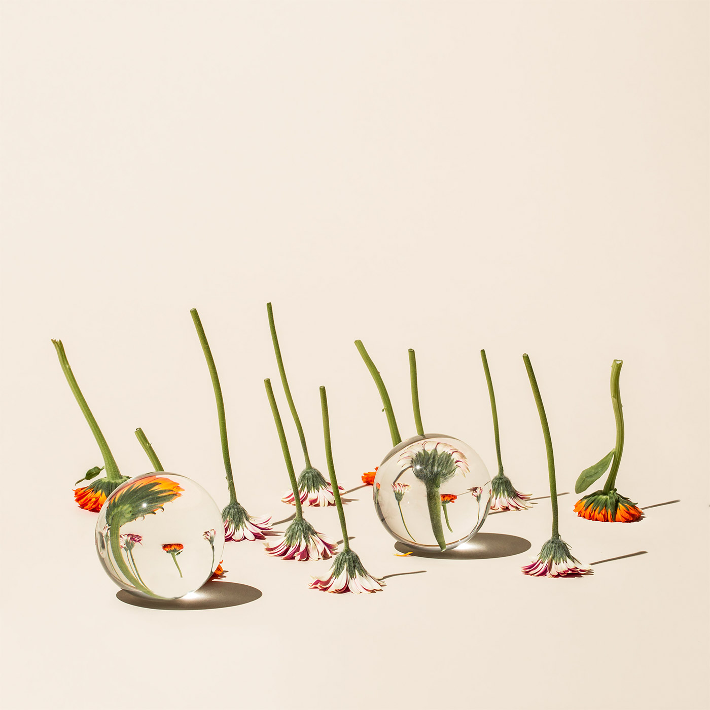 Jiemo介末的個(gè)人主頁（封面預(yù)覽） - 主頁封面設(shè)置 - 站酷設(shè)計(jì)師Jiemo介末原創(chuàng)素材 - 站酷ZCOOL