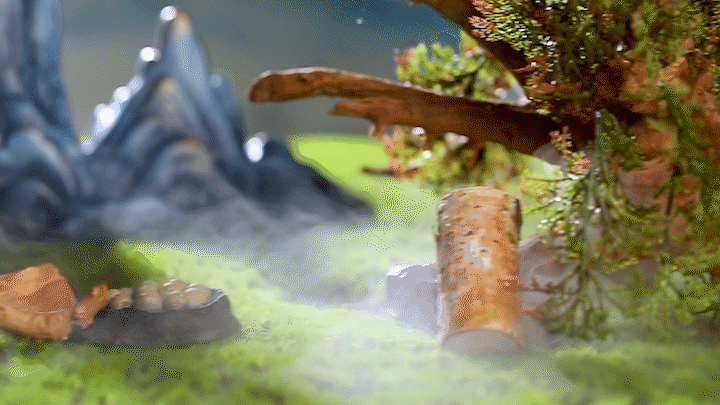 山海经✖️森焱视觉