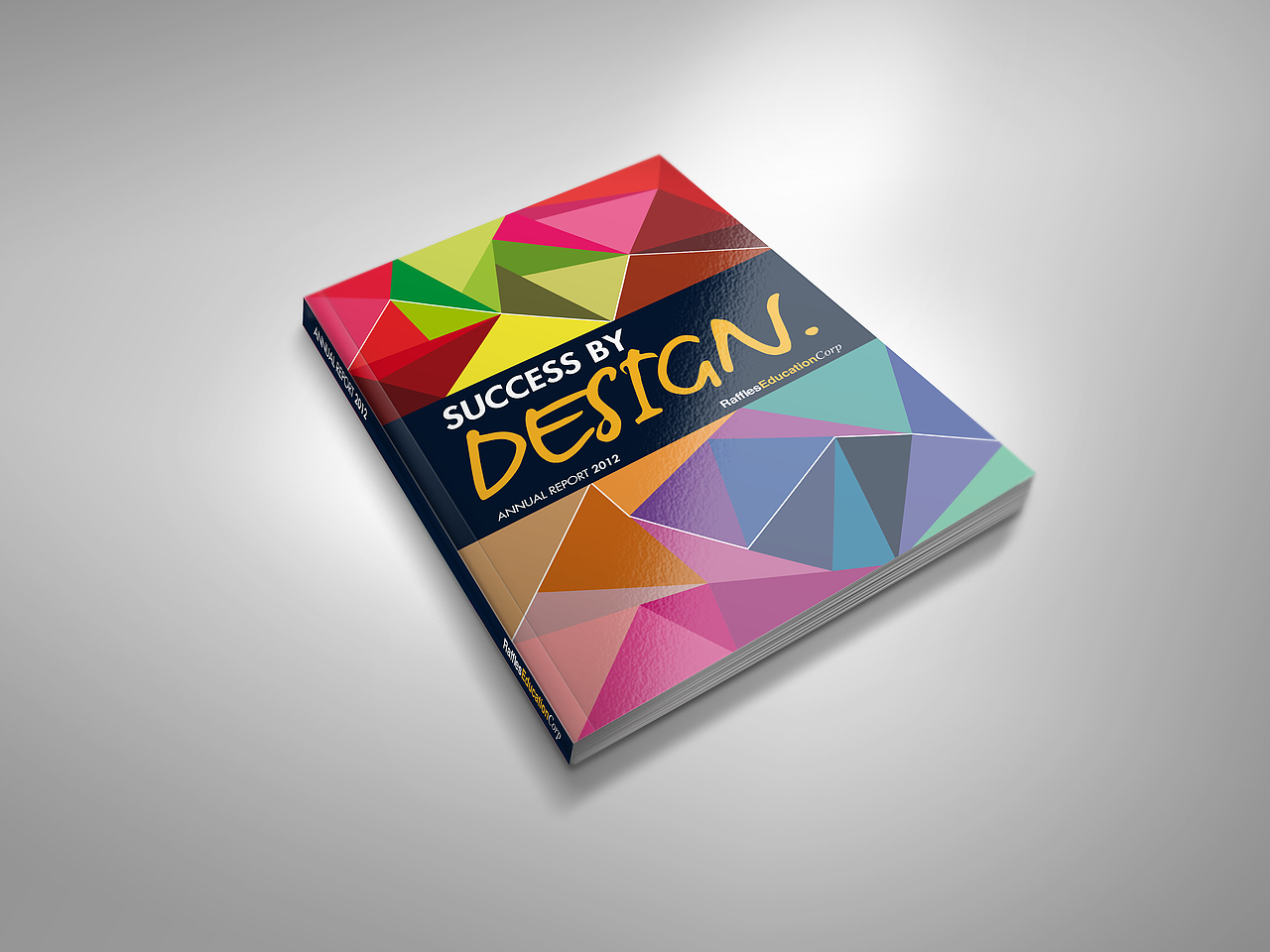 Success by Design Annual Report（图ZMzAyNTM5MTY=） - 书籍/画册 - 站酷设计师rayzong原创素材 - 站酷ZCOOL