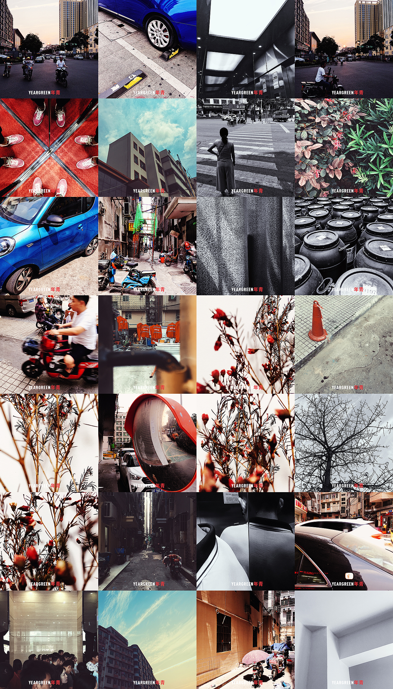 iPhone摄影 · 所见