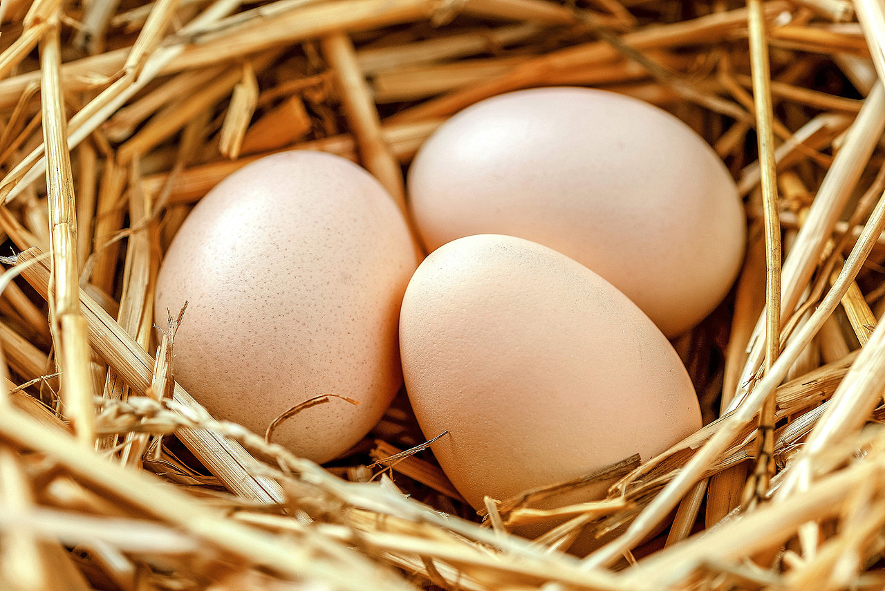 土鸡蛋农副产品拍摄（图ZMTc1MzMwNzQw） - 产品摄影 - 站酷设计师茂盛原创素材 - 站酷ZCOOL