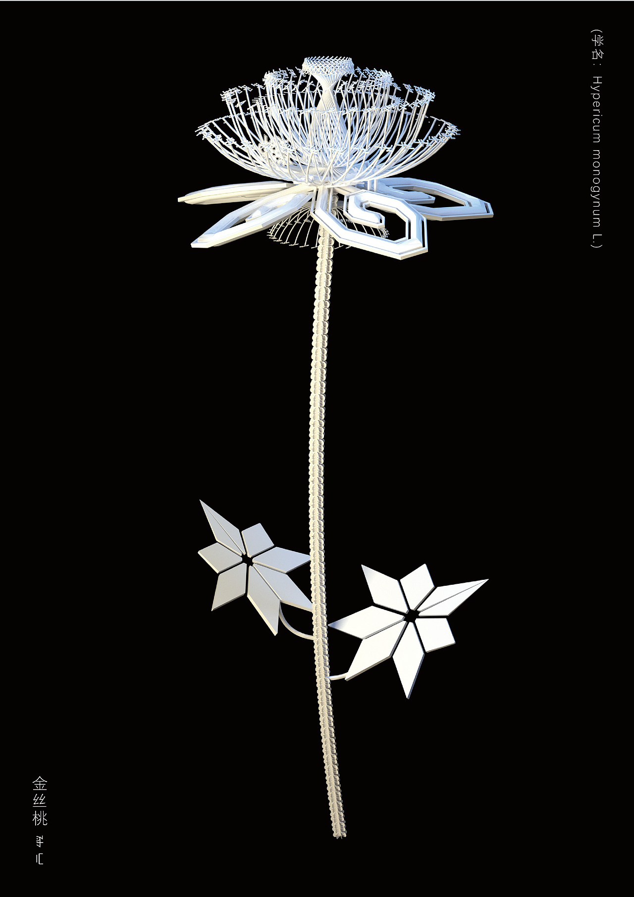 虚拟生境-彝族绣花创新