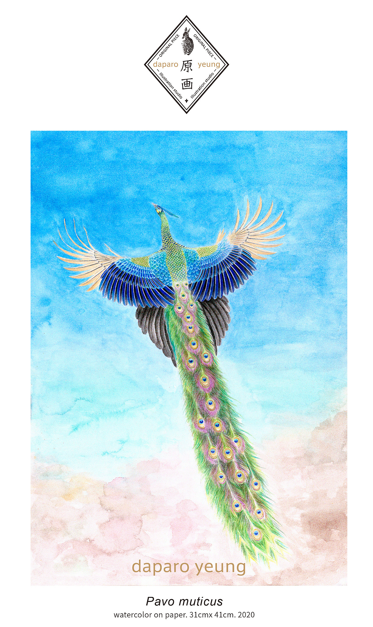 「daparo yeung」绿孔雀胸针设计