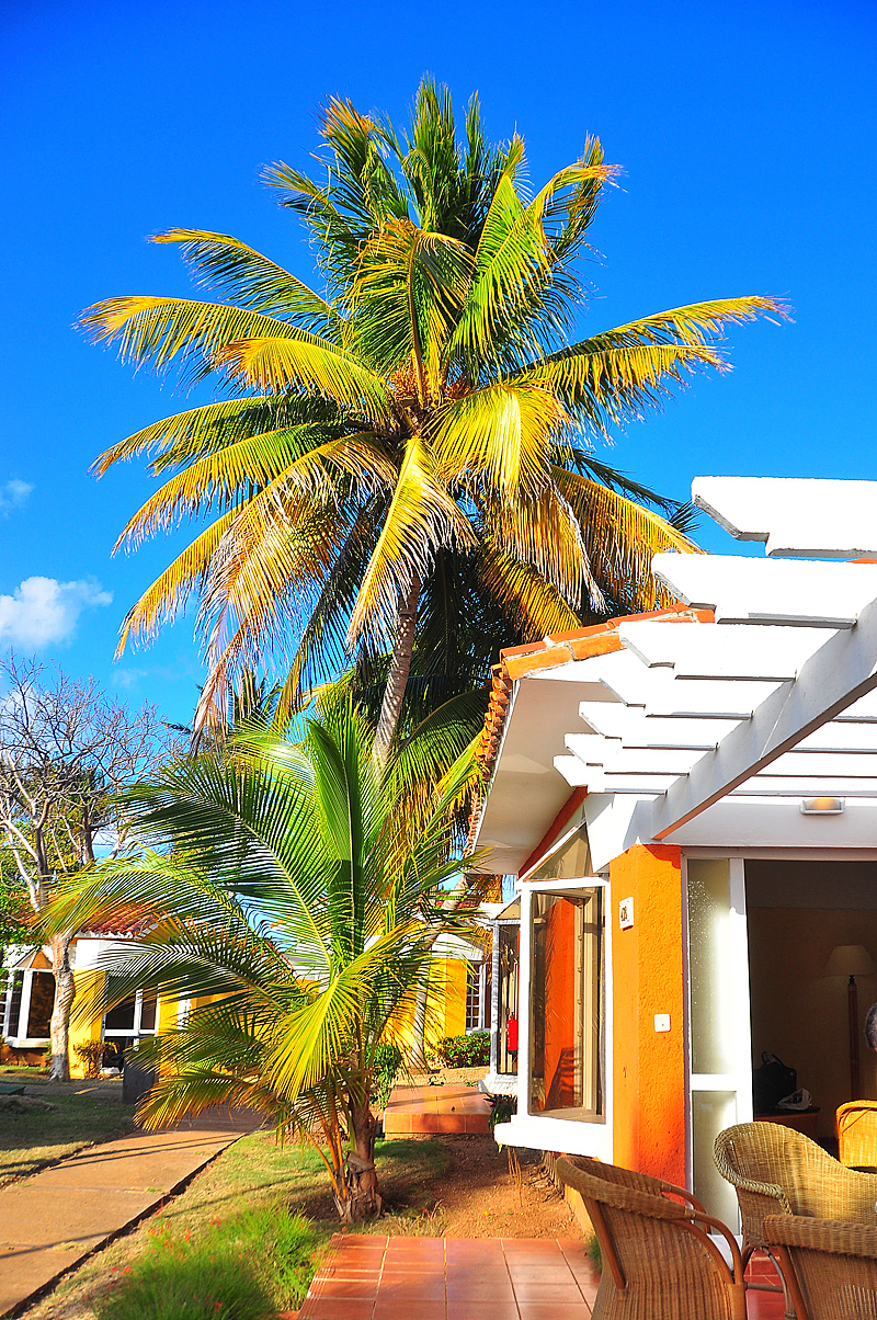 古巴—加勒比海上的热情岛国（图ZNTI0Mjg4OA==） - 风光摄影 - 站酷设计师Edwiner原创素材 - 站酷ZCOOL