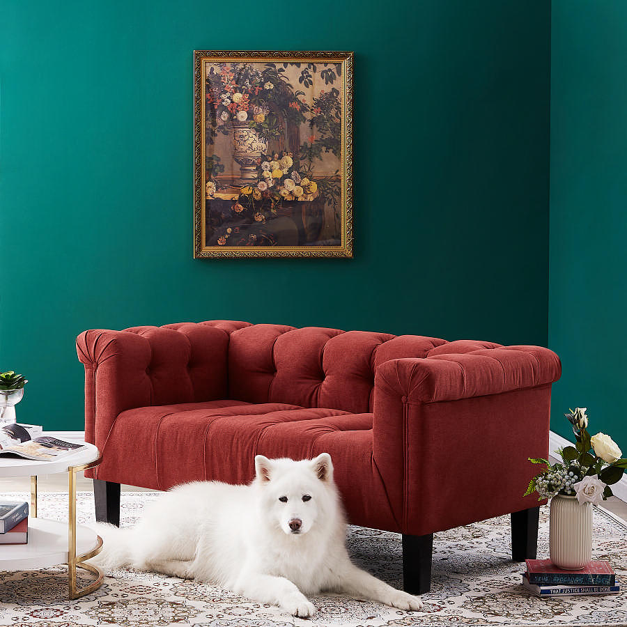 亚马逊东莞惠州深圳家具摄影拍照3000平家具摄影棚