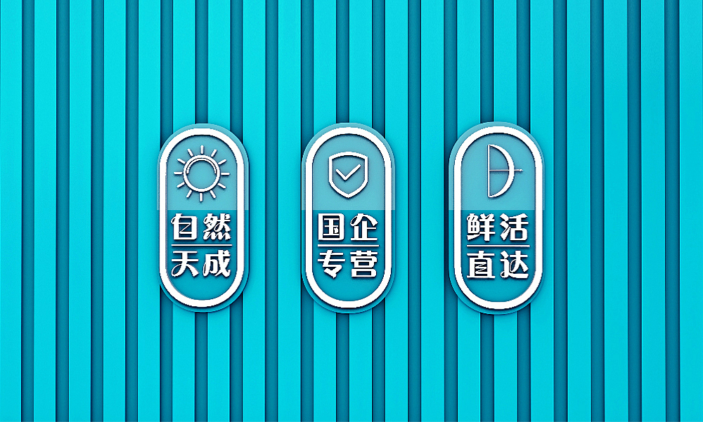 桃花鱼品牌形象设计 空间布局