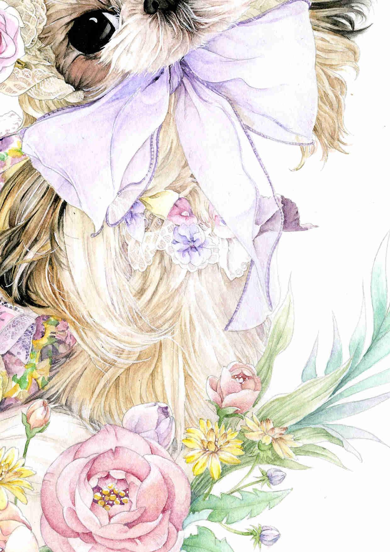 甜蜜花园里的西施犬