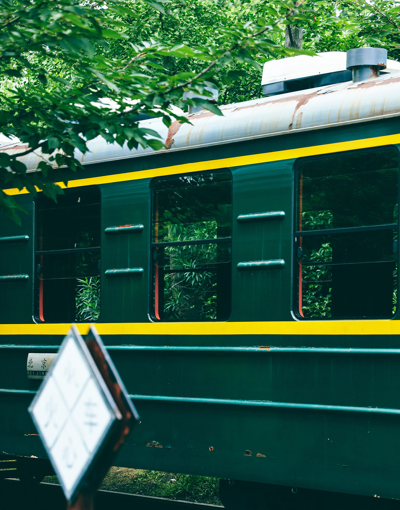 生活游记.杭州白塔公园