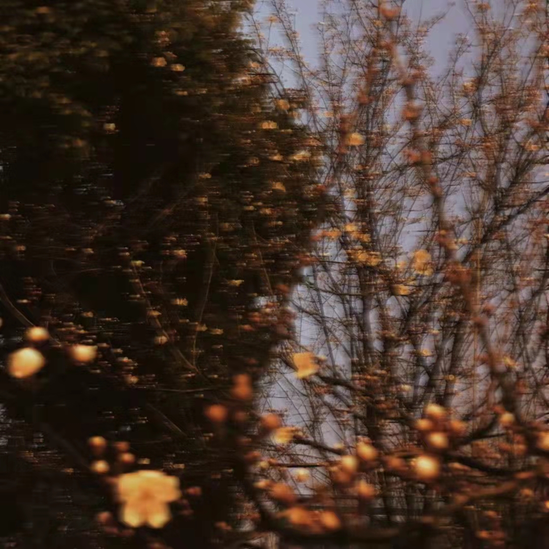 一朵霧森林的個人主頁（封面預(yù)覽） - 主頁封面設(shè)置 - 站酷設(shè)計師一朵霧森林原創(chuàng)素材 - 站酷ZCOOL