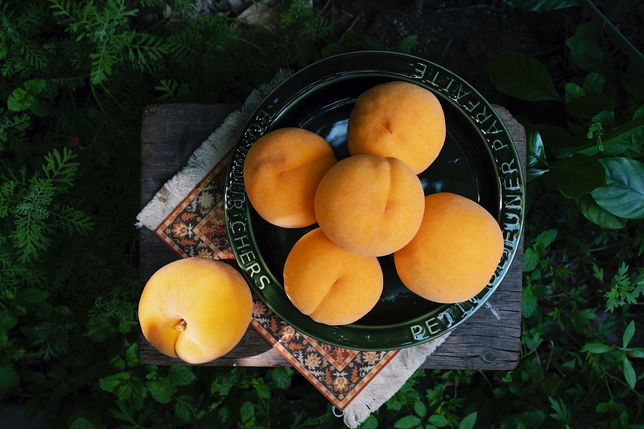 杏黄桃15s朋友圈广告（图ZMTcxMzY0MjIw） - MV - 站酷设计师赵洋明原创素材 - 站酷ZCOOL