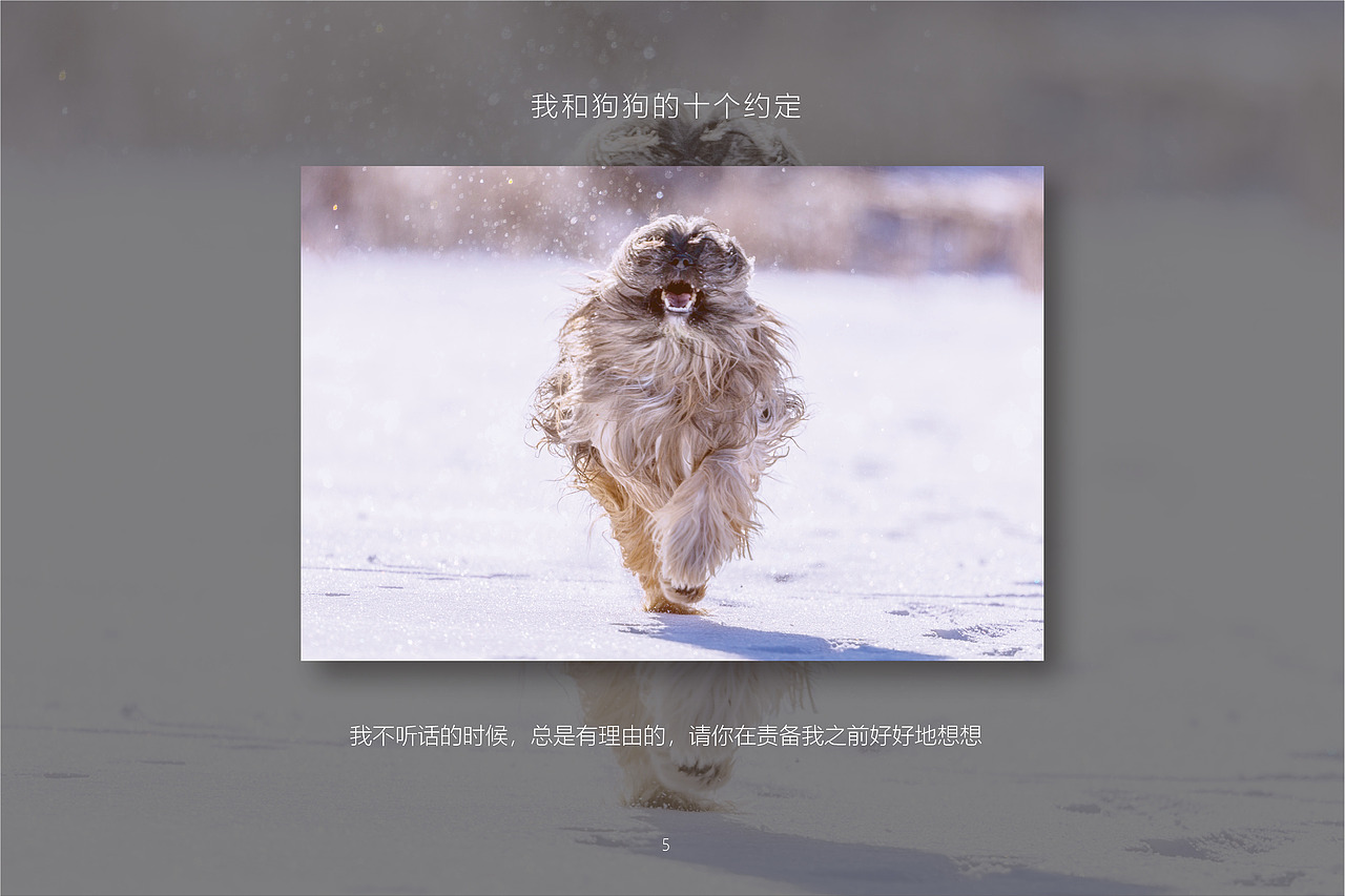 我和狗狗的十个约定InDesign