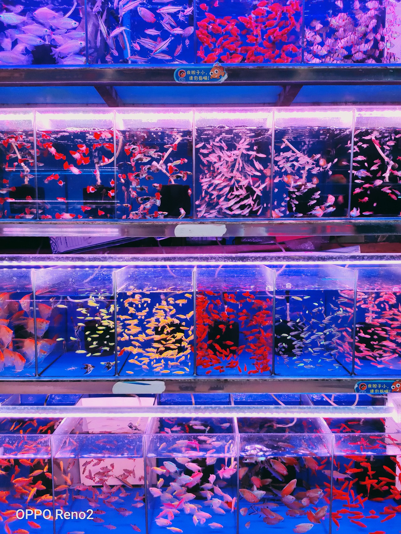 OPPO手机摄影（图ZMjI2NzU2MTcy） - 风光摄影 - 站酷设计师挥霍青春WU原创素材 - 站酷ZCOOL