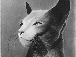 素描之——记手残党第一次挑战动物毛发