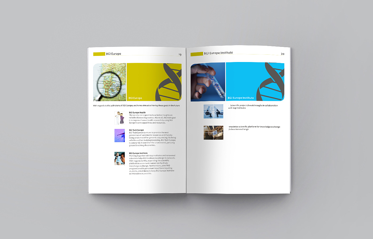 画册,英文画册,Product catalog,brochure