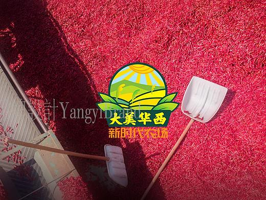 大美华西-新时代农场，品牌LOGO，西安杨壹品牌设计