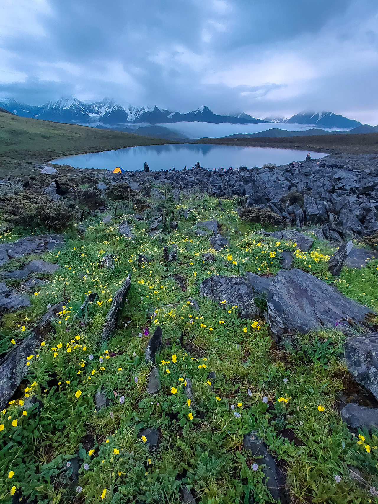 手机摄影——oppo|摄影|风光|_selions - 原创作品 - 站酷 (zcool)