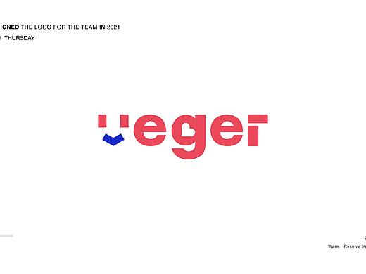有解logo设计提案4