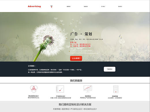 企业网站