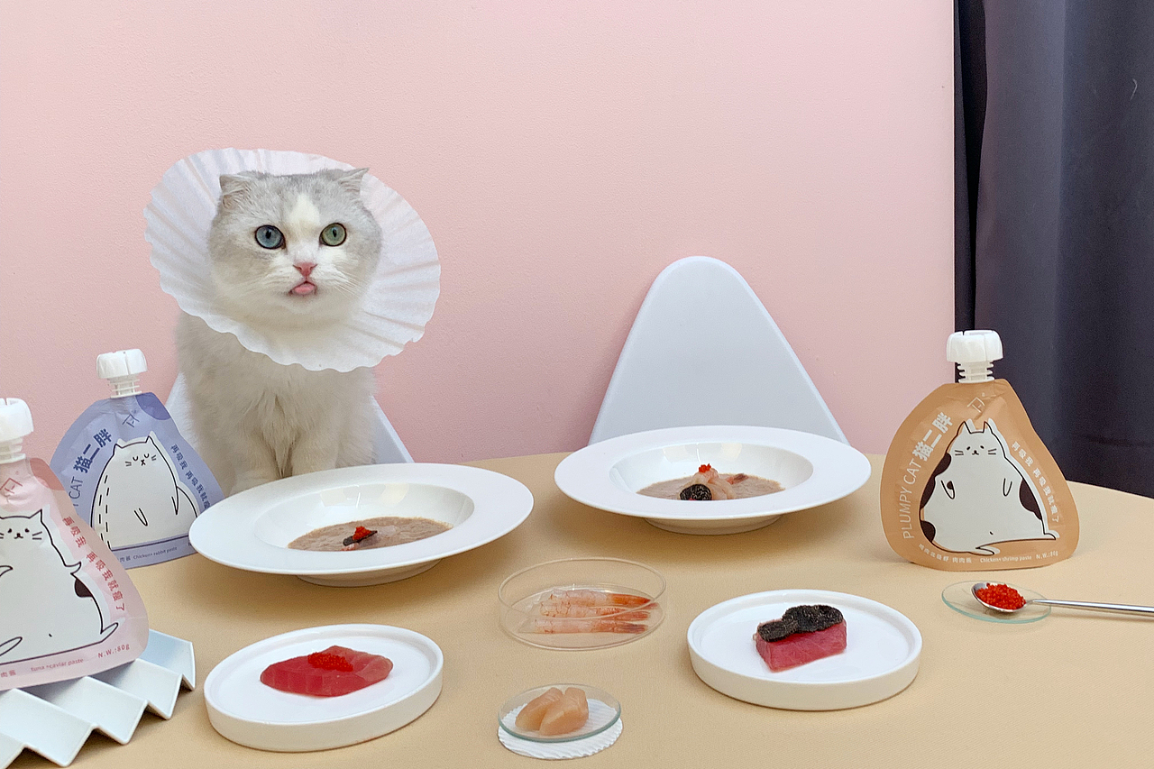 事实证明,猫仪式感和少女心起来,就没人什么事儿了