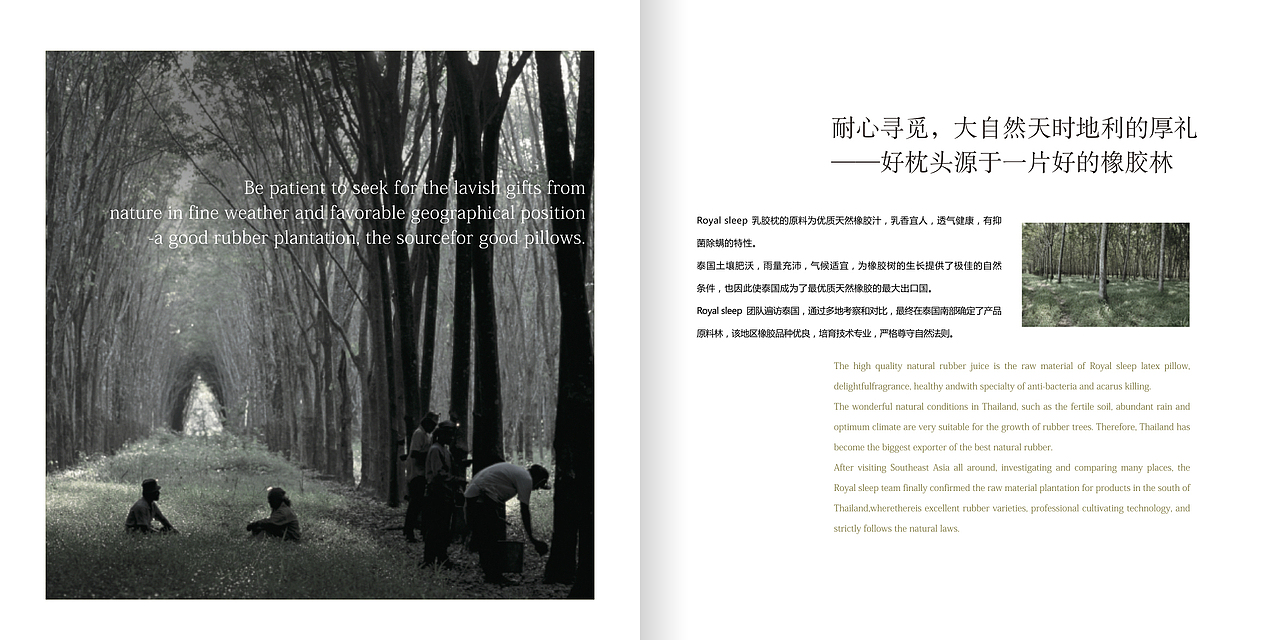 朕要睡了 泰国天然乳胶枕画册设计（图ZMjcyNTU4Mzg4） - 书籍/画册 - 站酷设计师韦特维思品牌设计原创素材 - 站酷ZCOOL