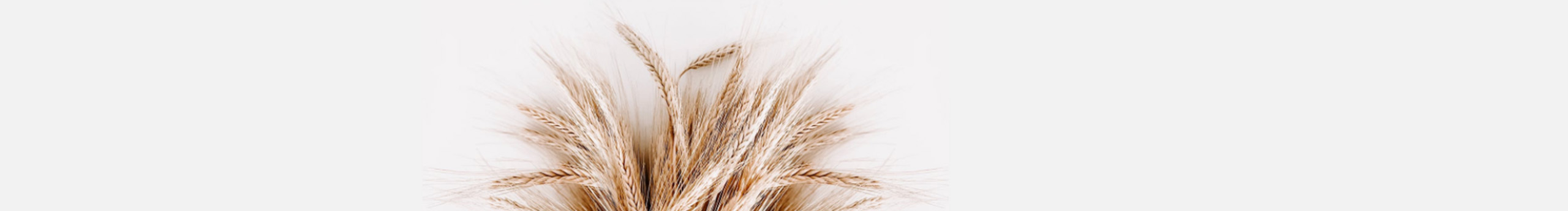 零零三的個人主頁（封面預覽） - 主頁封面設(shè)置 - 站酷設(shè)計師零零三原創(chuàng)素材 - 站酷ZCOOL