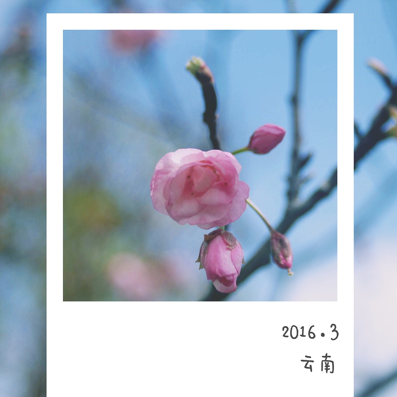 365摄影计划（3）（图ZNDUzNTU3ODg=） - 其他摄影 - 站酷设计师Pexels原创素材 - 站酷ZCOOL