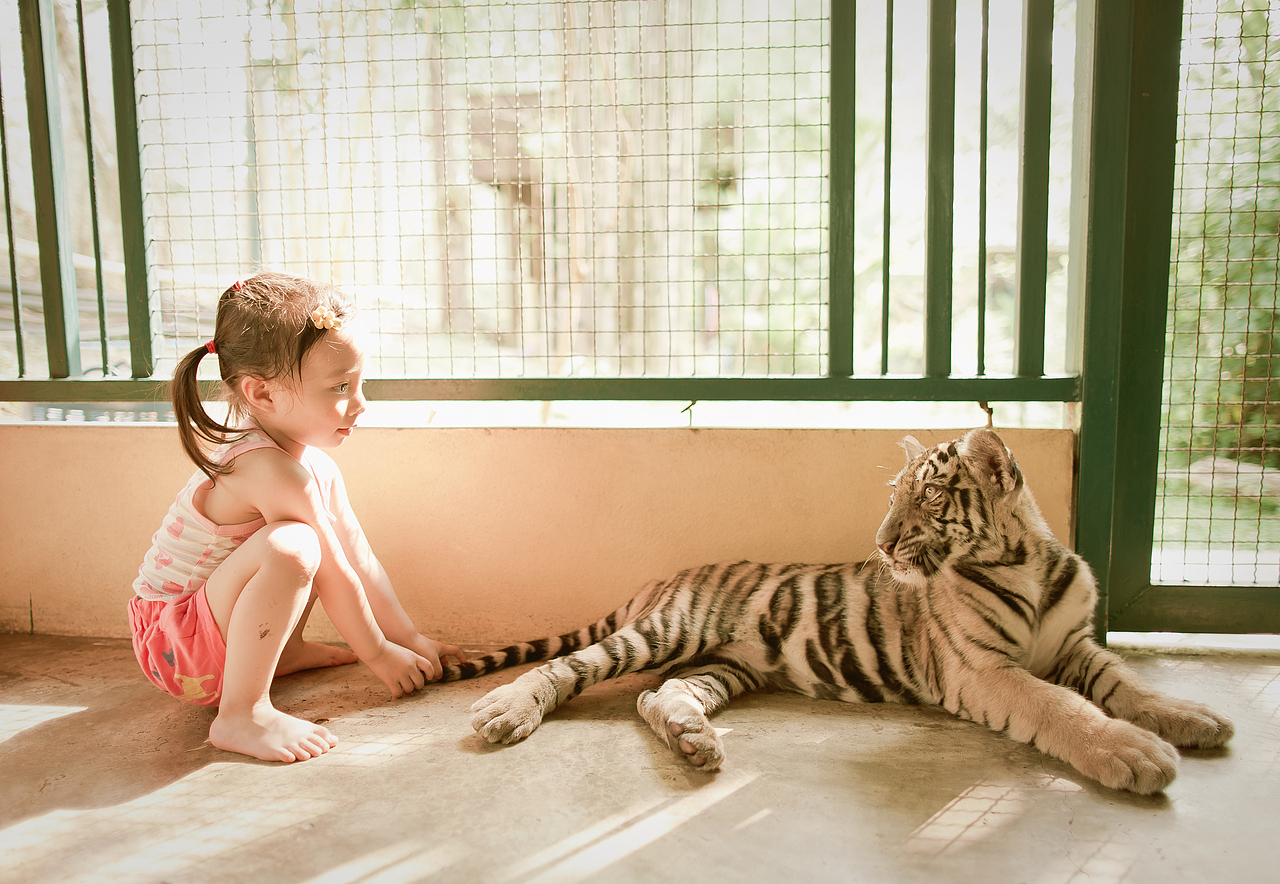 我的摄影之路（图ZMTQ0OTA0NzY=） - Motion Graphic - 站酷设计师魏编来了原创素材 - 站酷ZCOOL