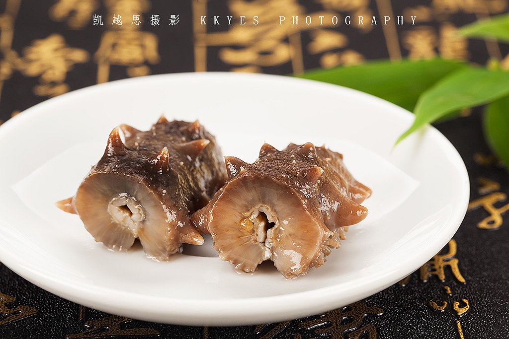 海参 海鲜 静物拍摄 产品摄影