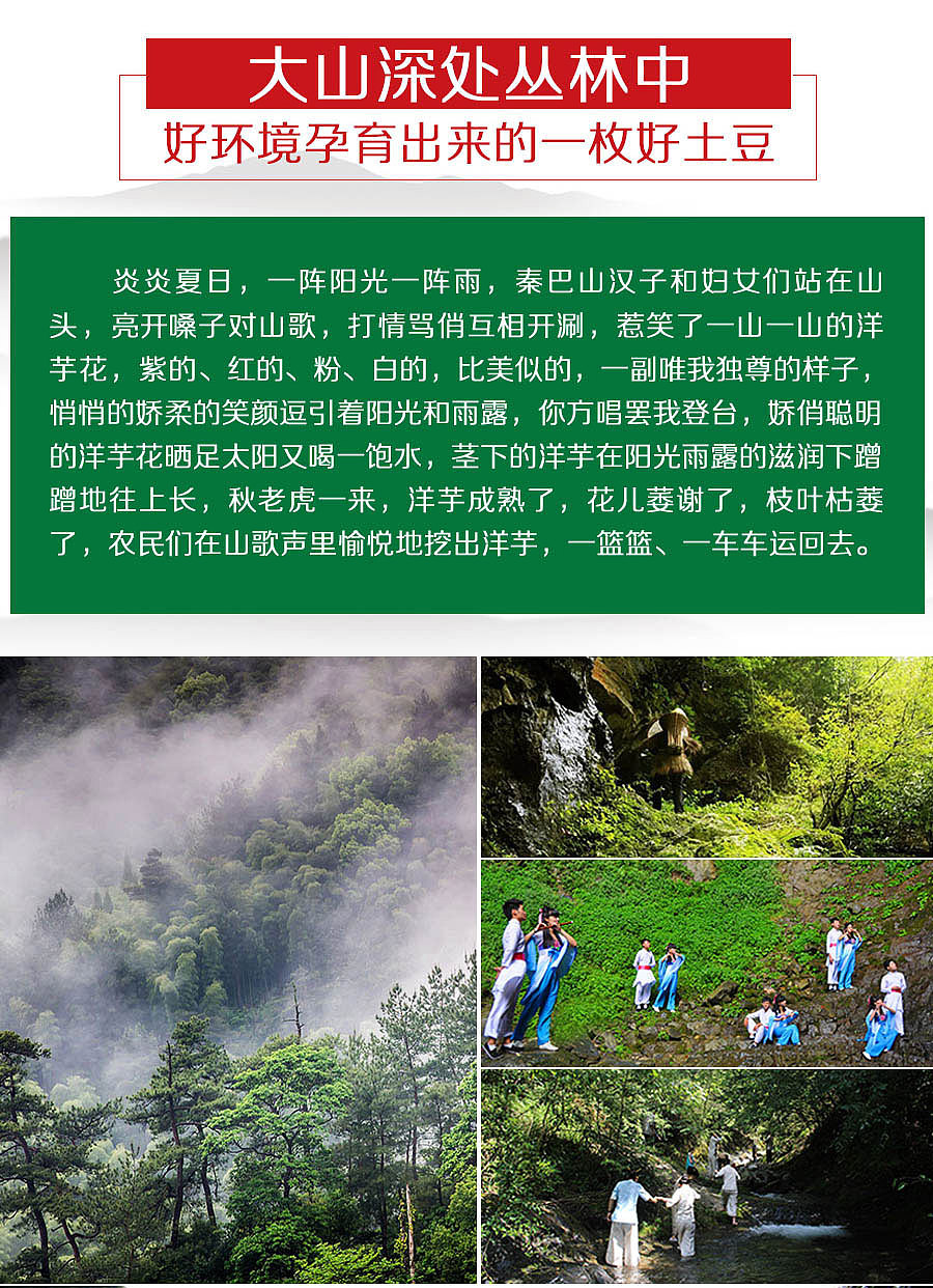 土豆片 土豆干 详情 特产