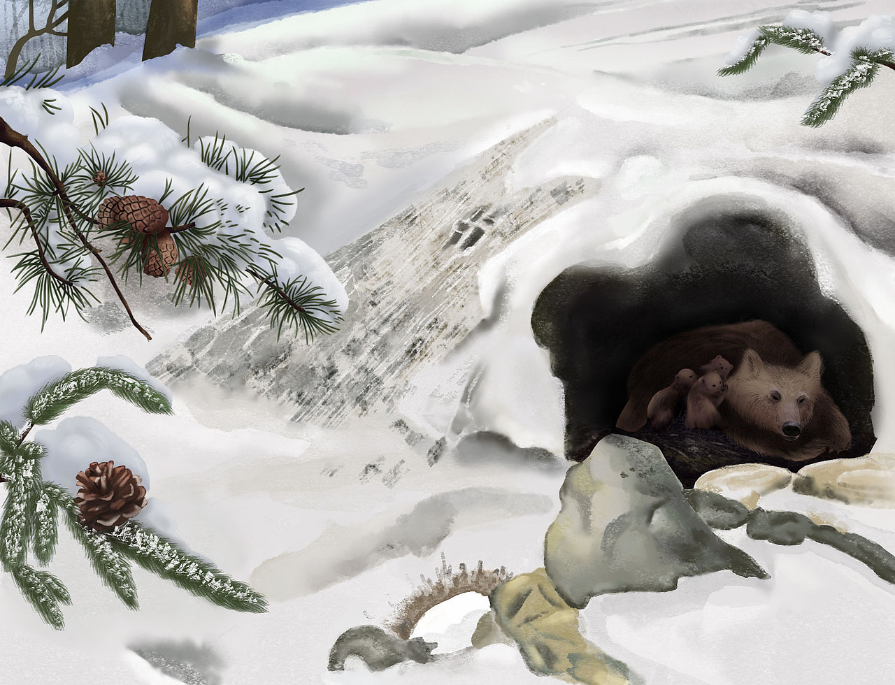 在深厚积雪下的洞穴中冬眠的母熊,在一月份的严寒里,居然还产下未睁眼