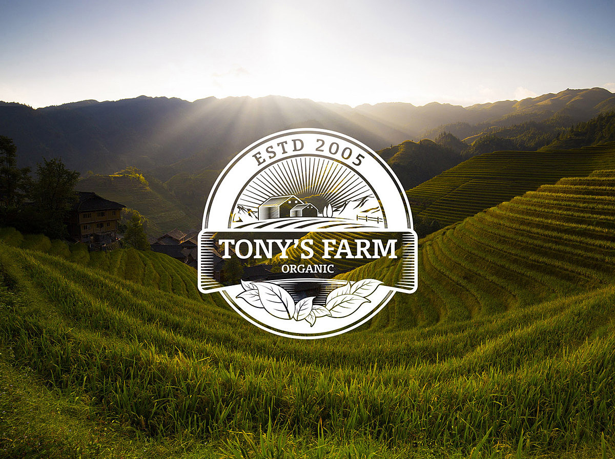 多利农庄 Tony's farm 品牌升级（图ZODU4ODcyNDA=） - 品牌 - 站酷设计师ReDesign2017原创素材 - 站酷ZCOOL