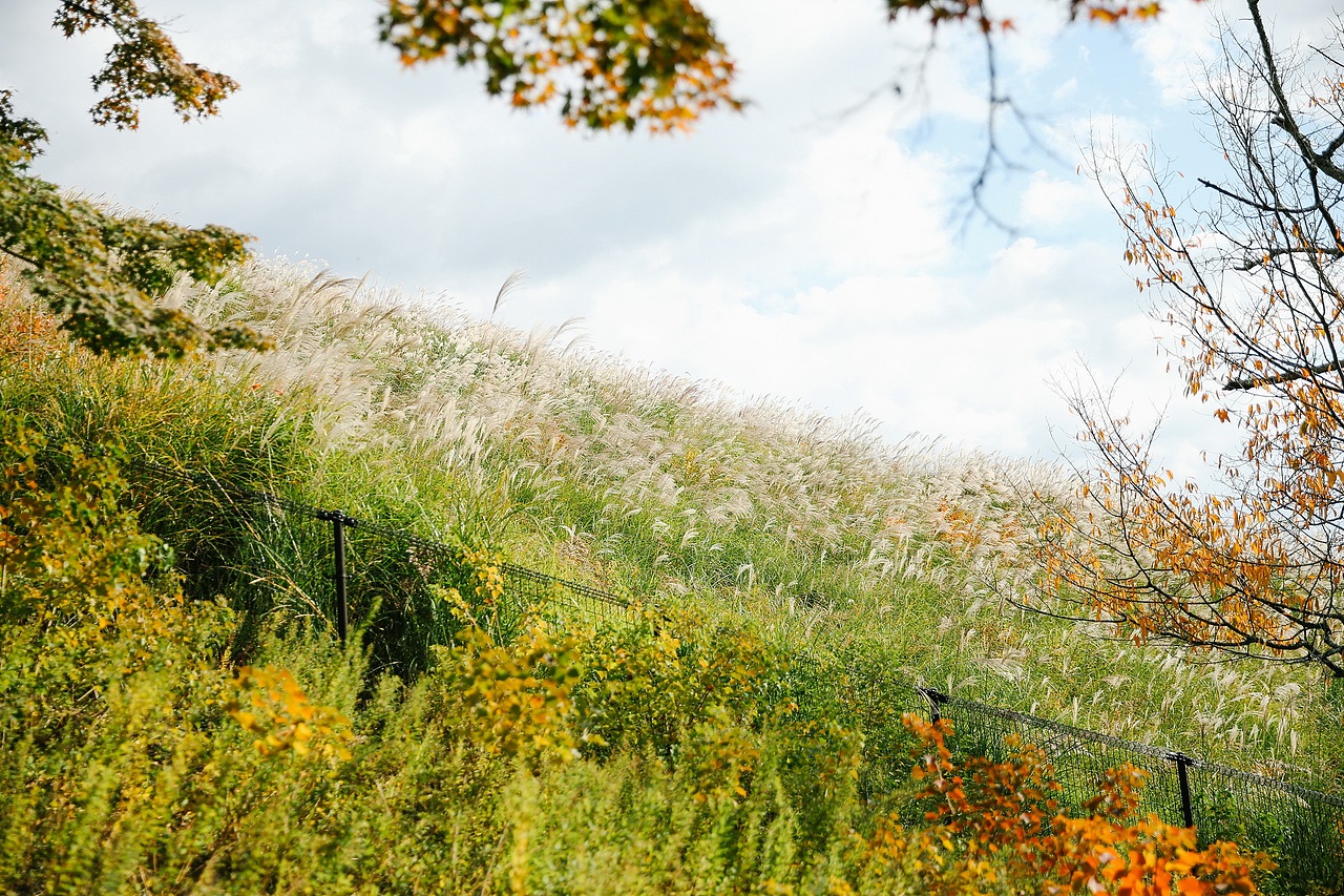 关于京都 奈良 镰仓的记忆