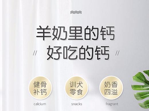 宠物零食详情页