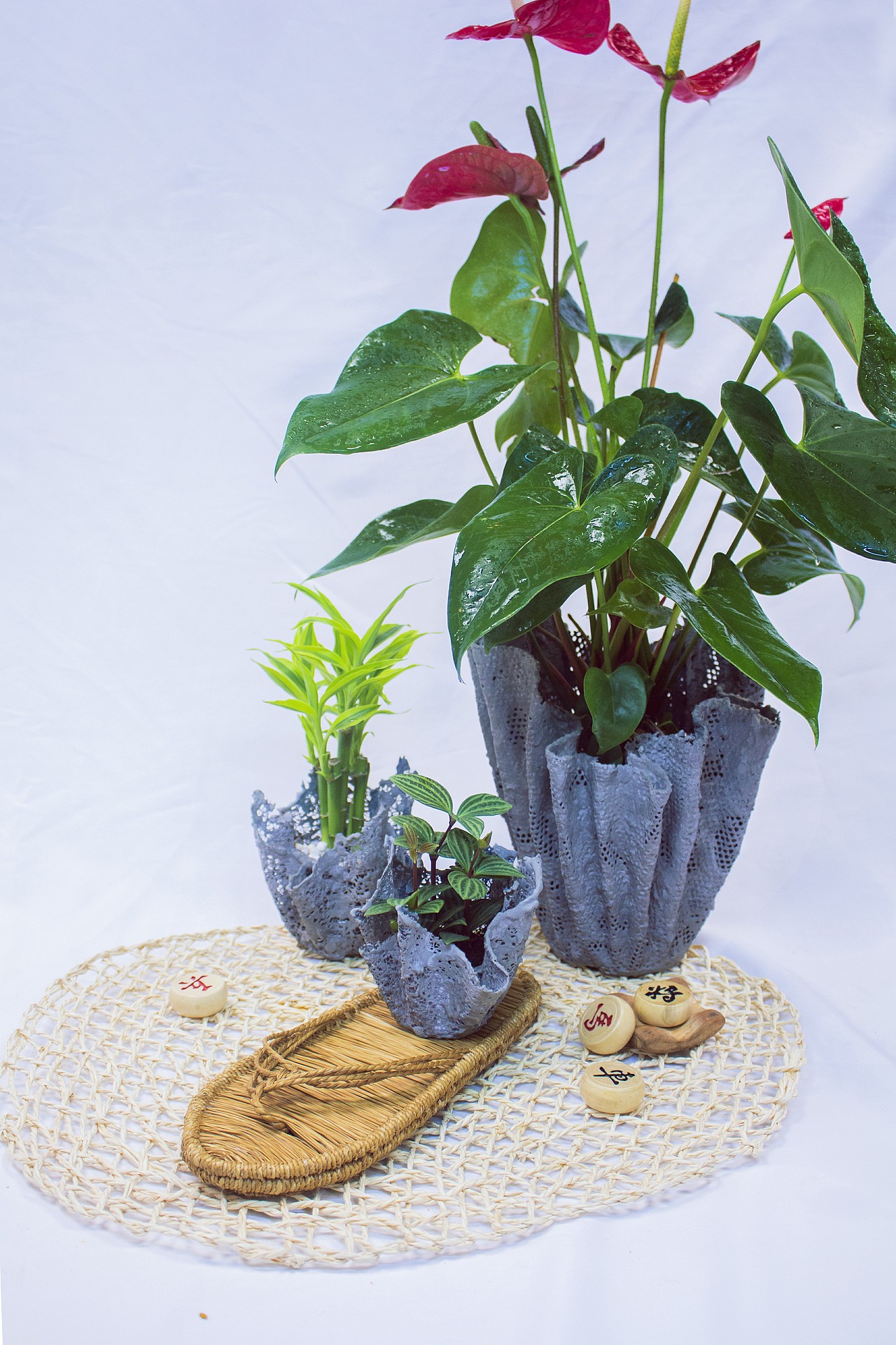 创意花盆设计青春答卷2017