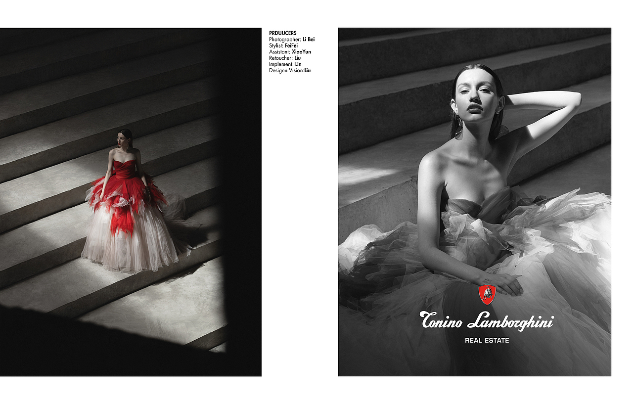 成都托尼洛·兰博基中尼心