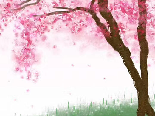 浪漫樱花
