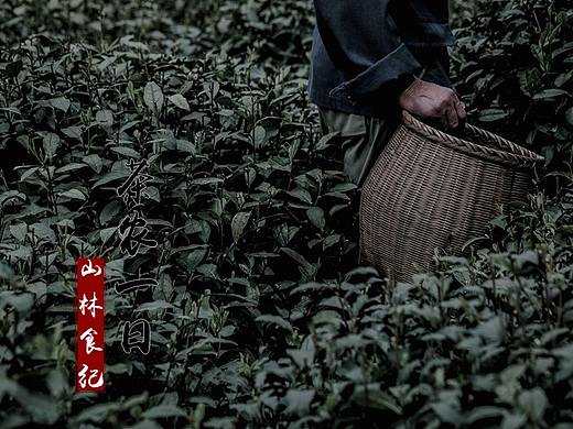 茶农一日