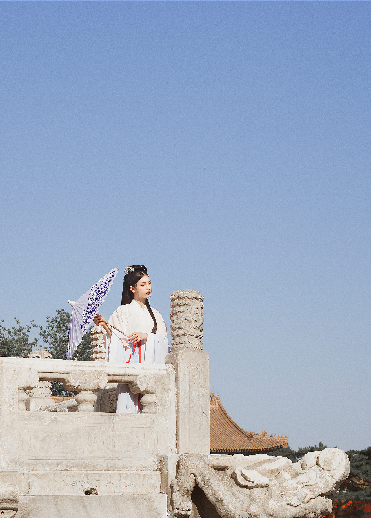 飘飖兮若流风之回雪